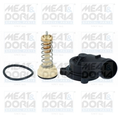 Thermostat, coolant